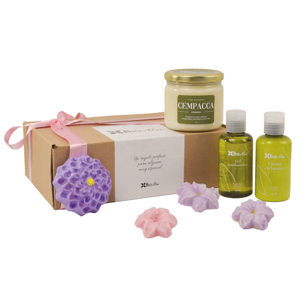 NLB KIT CEMPACA (PROSPERIDAD)